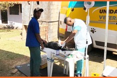 Saúde Pública – Cães e gatos são castrados na Serra dos Alves